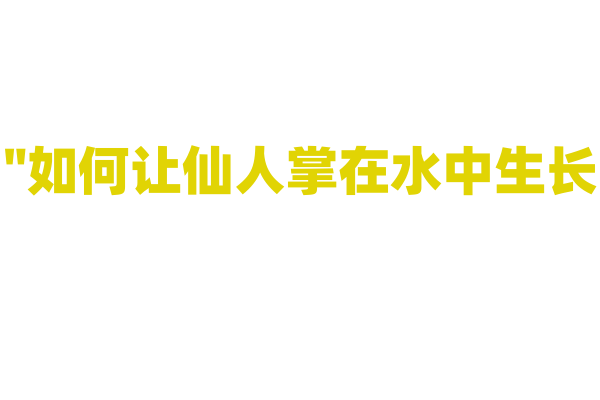 "如何让仙人掌在水中生长？"
